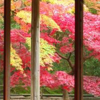 紅葉の鎌倉（２）～長寿寺